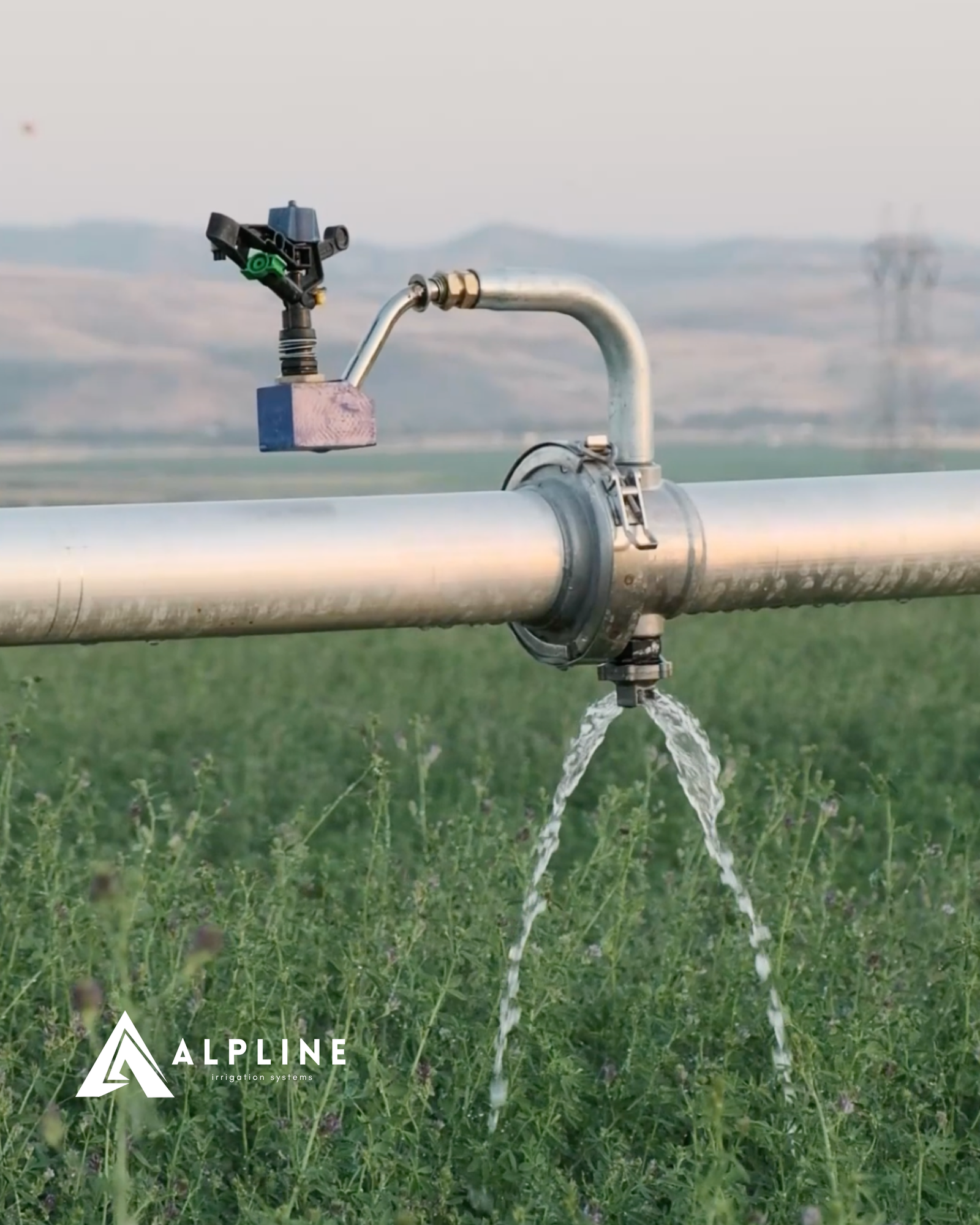 ALPLINE sprinkler sulama detayı